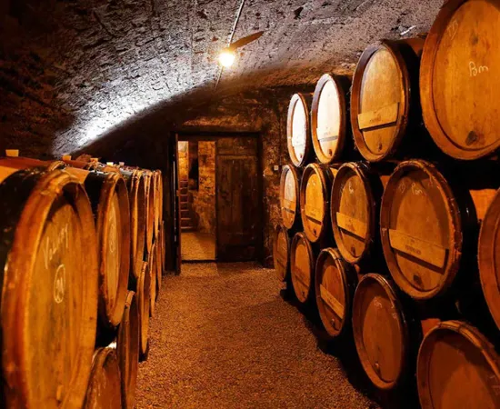 Domaine Bachelet-Ramonet