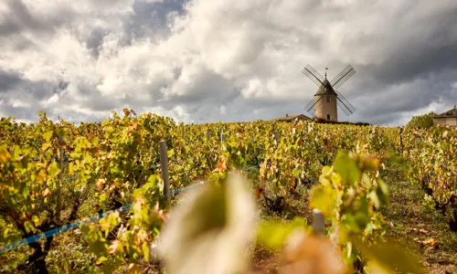 Jacques Le Moulin resize.jpg