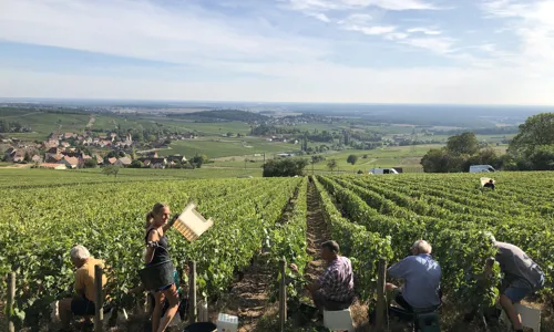 Maison-Albert-Sounit-wide- 7.jpg