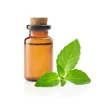Menthol