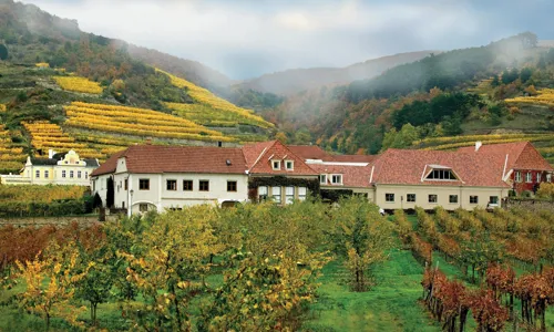 H - Domaine_Wachau - wide - 1_Edit.jpg