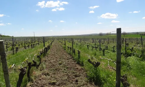 H - DSC03498-scaled_Edit.jpg