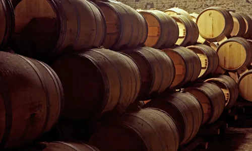 H - Leopold-Gummel- wide- 1_Edit.jpg