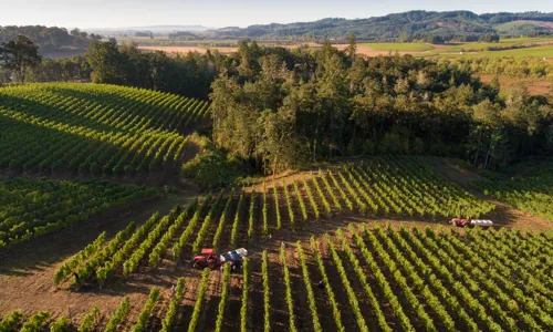 H - Domaine-Prieur-Brunet-wide-2_Edit.jpg