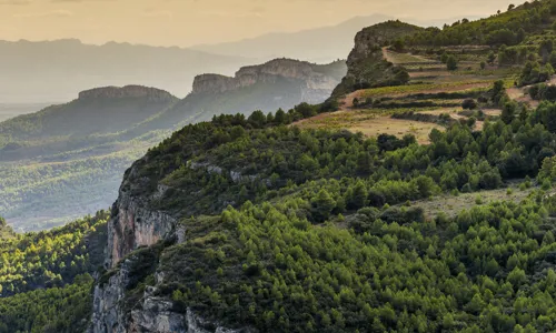 H - Scala_Dei - Wide - 3_Edit.jpg