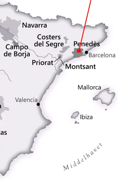 Fra <a href="/sog/?q=Penedès">penedès</a> området i <a href="/sog/?q=spanien">Spanien</a>