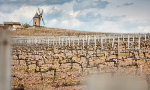 H - Chteau des Jacques - wide - 2_Edit.jpg
