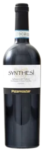 Synthesi 2017