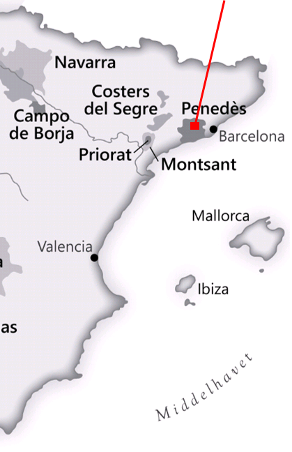Fra <a href="/sog/?q=Penedès">penedès</a> området i <a href="/sog/?q=spanien">Spanien</a>