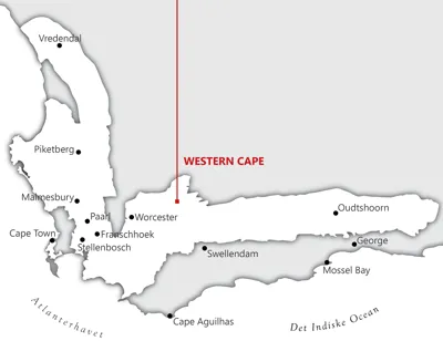 Fra <a href="/sog/?q=Western Cape">western cape</a> området i <a href="/sog/?q=sydafrika">Sydafrika</a>