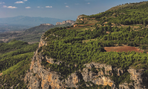 H - Terroir-al-Limit-wide-10_Edit.jpg