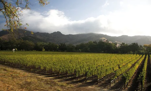 C - Stags_leap - wide - 1_Edit.jpg