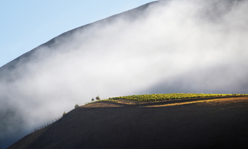 H - BienNacidoVyd-Hill-onTopinFog print_Edit.jpg