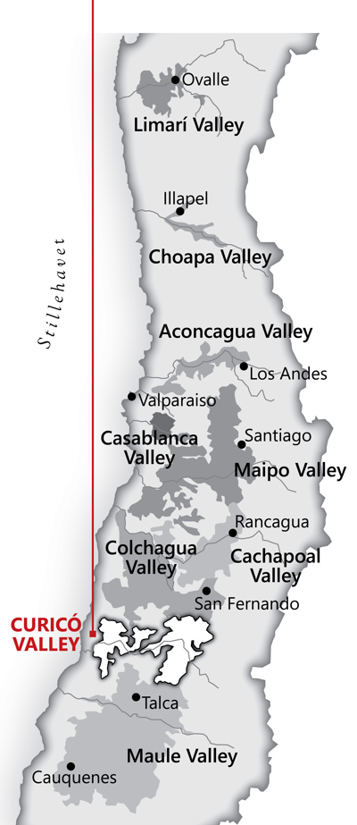 Fra <a href="/sog/?q=Curicó Valley">curicó valley</a> området i <a href="/sog/?q=chile">Chile</a>