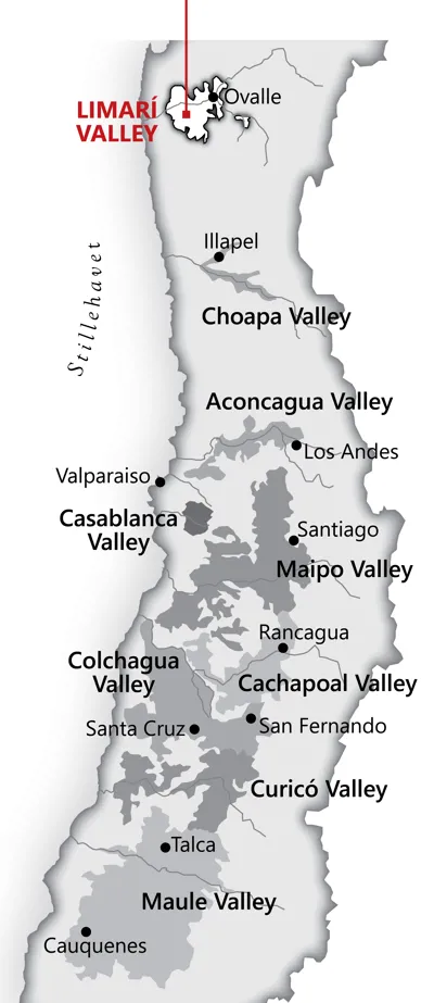 Fra <a href="/sog/?q=Colchagua Valley">colchagua valley</a> området i <a href="/sog/?q=chile">Chile</a>