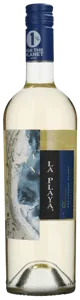 Sauvignon Blanc - Reserva 2021