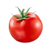 Tomat