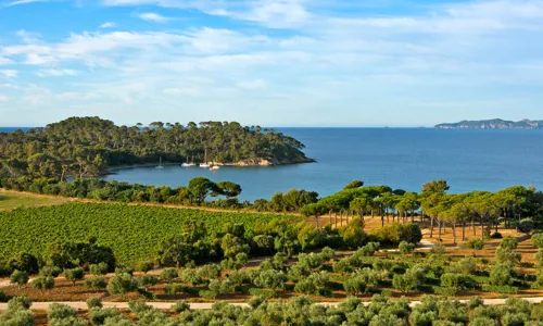 H - Chateau - Leoube - wide - 5_Edit.jpg