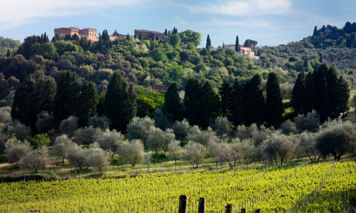 H - Farnetella - wide -5_Edit.jpg