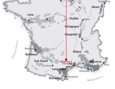 Fra <a href="/sog/?q=Vin de Pays d'Hérault">vin de pays d'hérault</a> området i <a href="/sog/?q=frankrig">Frankrig</a>