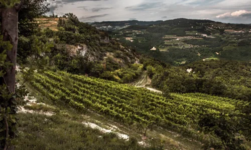 H_Valpolicella_2_Edit.jpg