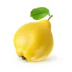 Kvæde