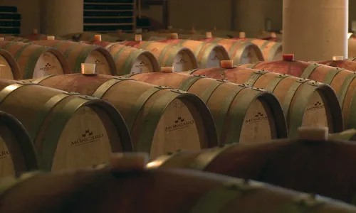 H - 1551437477518_Edit.jpg