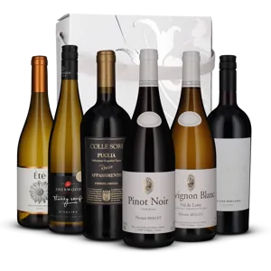 Smagekasse med populære vine til hverdag og fest (6 flasker)
