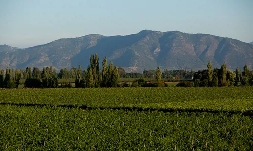 H - Chono - wide - 2_Edit.jpg