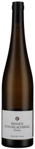 Riesling - Scharlachberg - Trocken 2021