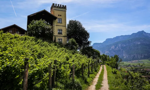 H - img_0075_Edit.jpg