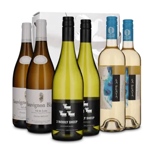 Bliv vinkender: Sauvignon Blanc - Klassisk vs. Oversøisk (6 flasker)