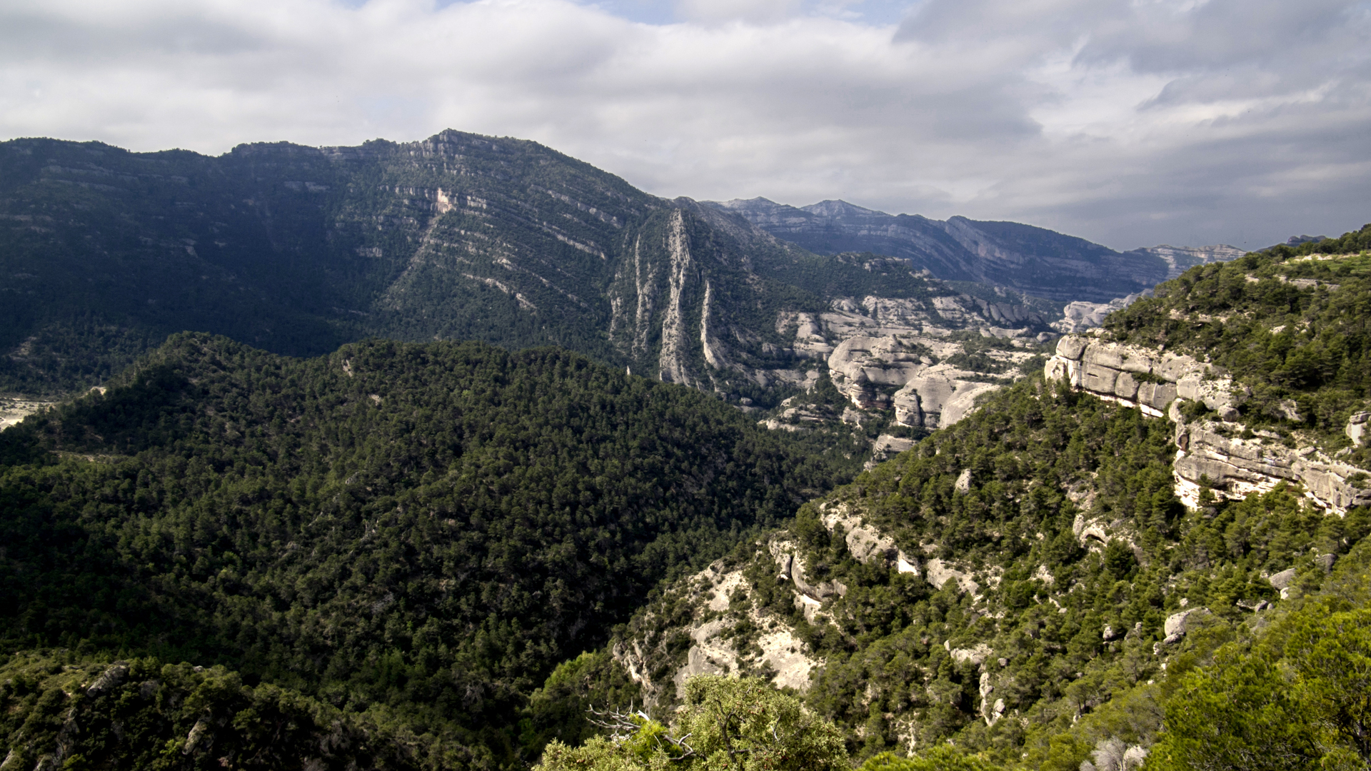 H - Proyecto_garnachas - Wide - 2_Edit.jpg