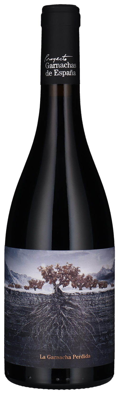 Perdida del Pirineo 2021