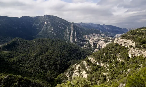 H - Proyecto_garnachas - Wide - 2_Edit.jpg