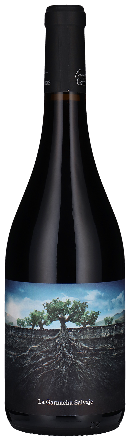 Salvaje del Moncayo 2021