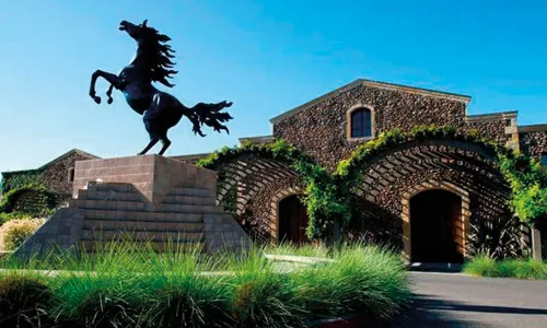 H - Black_Stallion - wide - 1_Edit.jpg