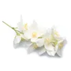 Hvide blomster