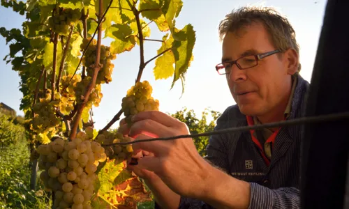 H - Weingut - wide - 5_Edit.jpg