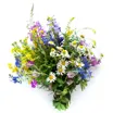 Blomster