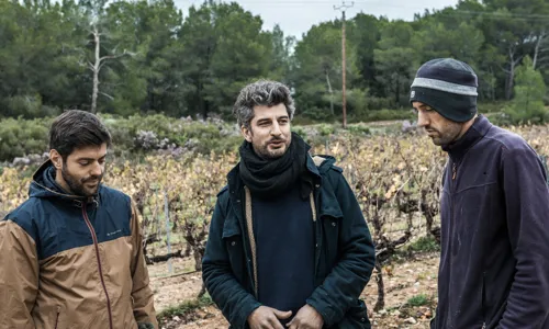 H - Pierre Picpoul 2019_Edit.jpg