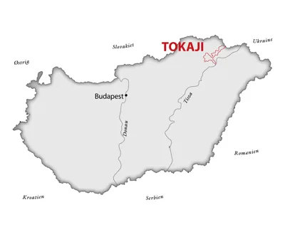 Fra <a href="/sog/?q=Tokaji">tokaji</a> området i <a href="/sog/?q=ungarn">Ungarn</a>
