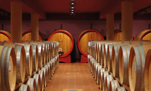 Verbena, Brunello di Montalcino, Toscana - Main Image