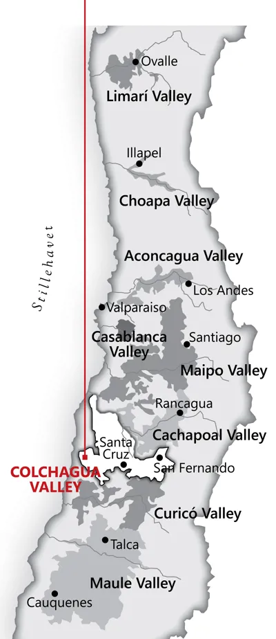 Fra <a href="/sog/?q=Colchagua Valley">colchagua valley</a> området i <a href="/sog/?q=chile">Chile</a>