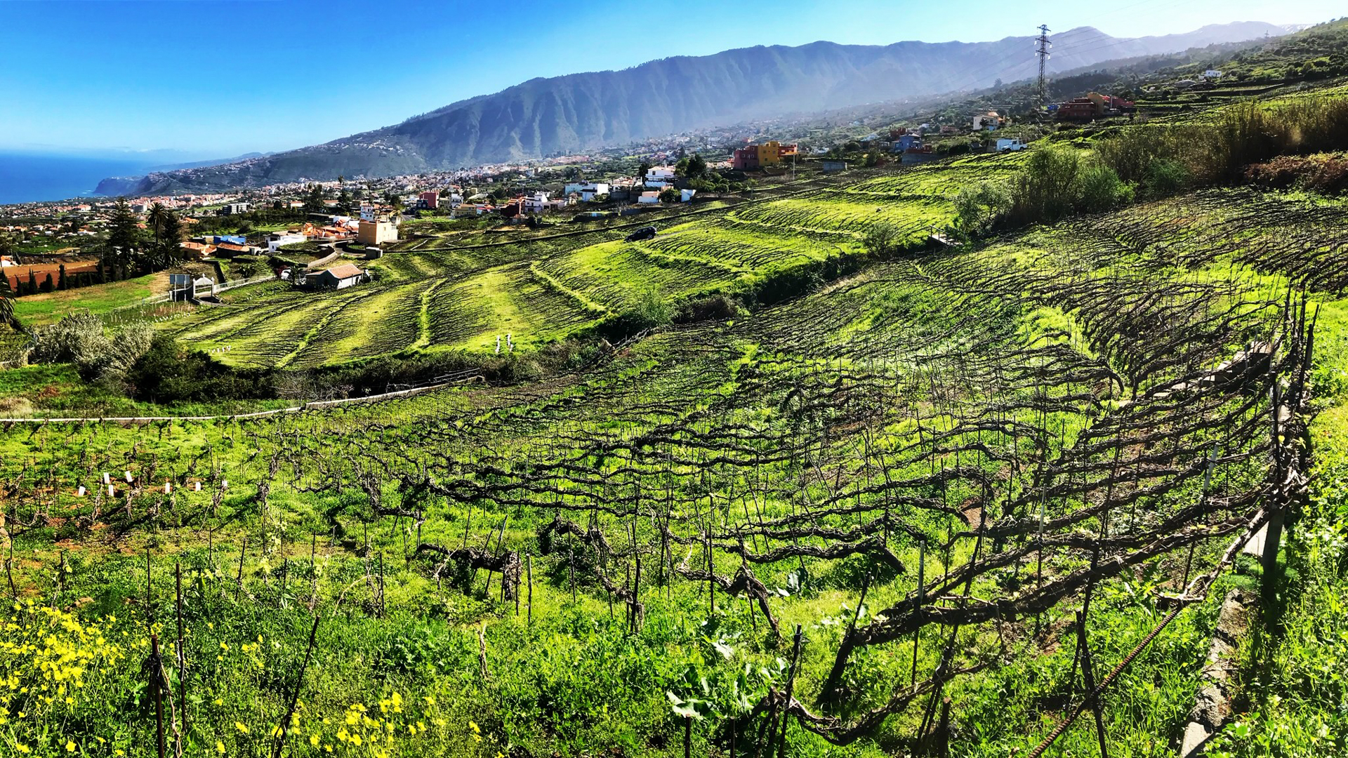 H - IMG_5979_Edit.jpg