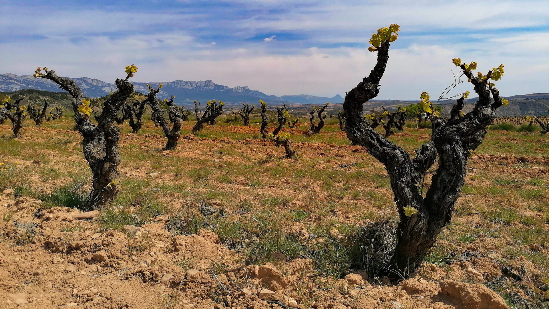 H - Artuke - Wide - 7_Edit.jpg