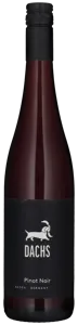 Pinot Noir 2023
