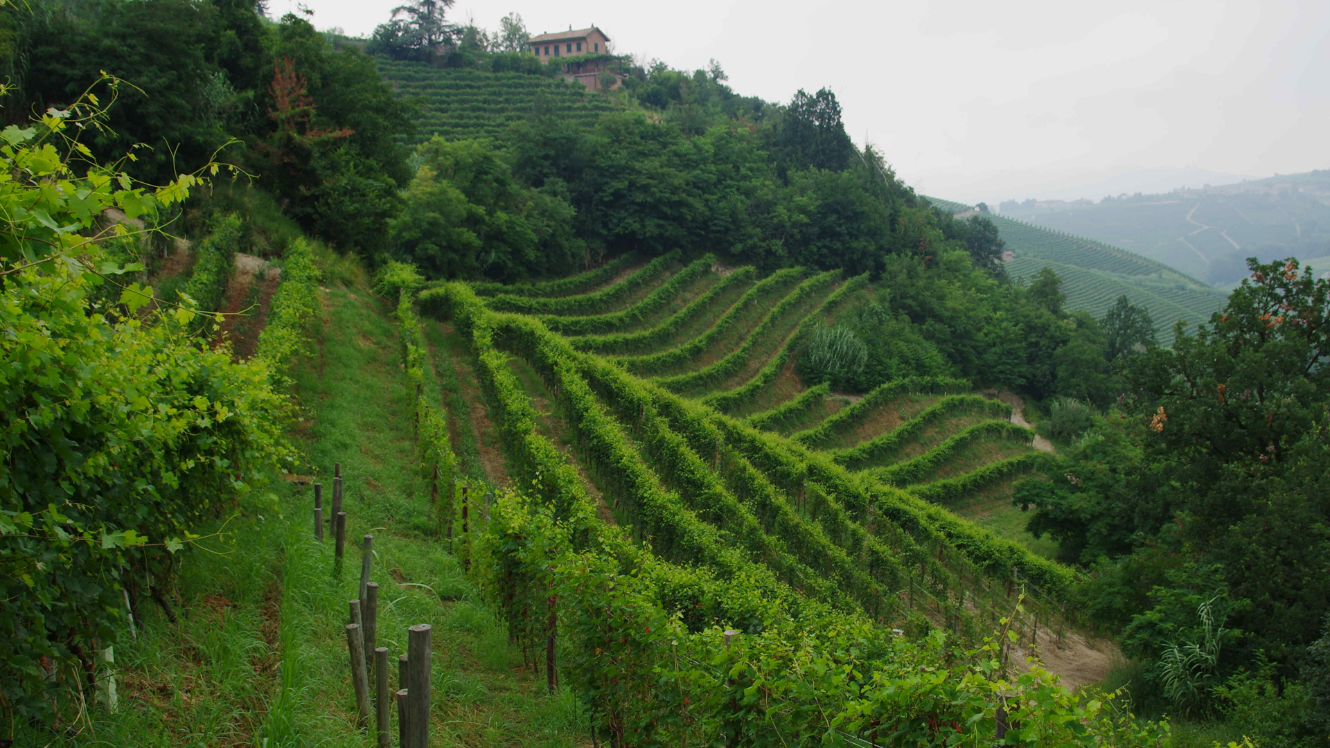 H - Brovia - wide - 4_Edit.jpg