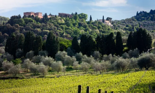 H - Farnetella - wide -5_Edit.jpg