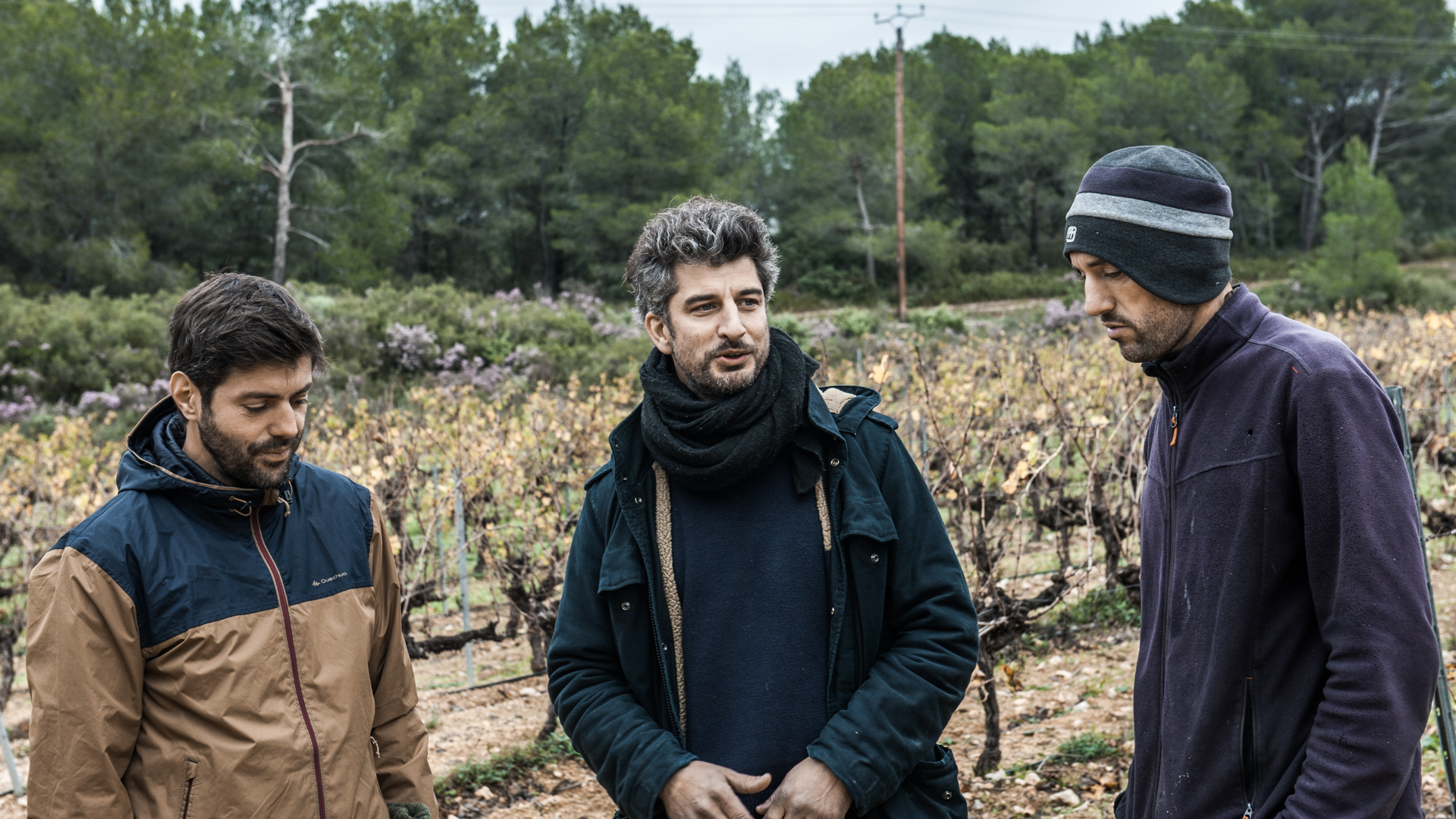 H - Pierre Picpoul 2019_Edit.jpg